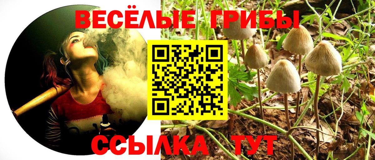 Галлюциногенные грибы мухоморы Саров
