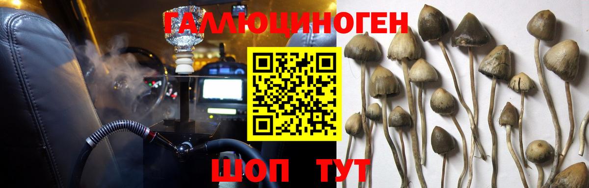 Саров  как найти закладки  Вход с VPN  Галлюциногенные грибы MAGIC MUSHROOMS 